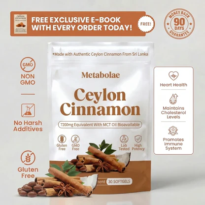 Ceylon Cinnamon 7200mg Equivalent with MCT Oil